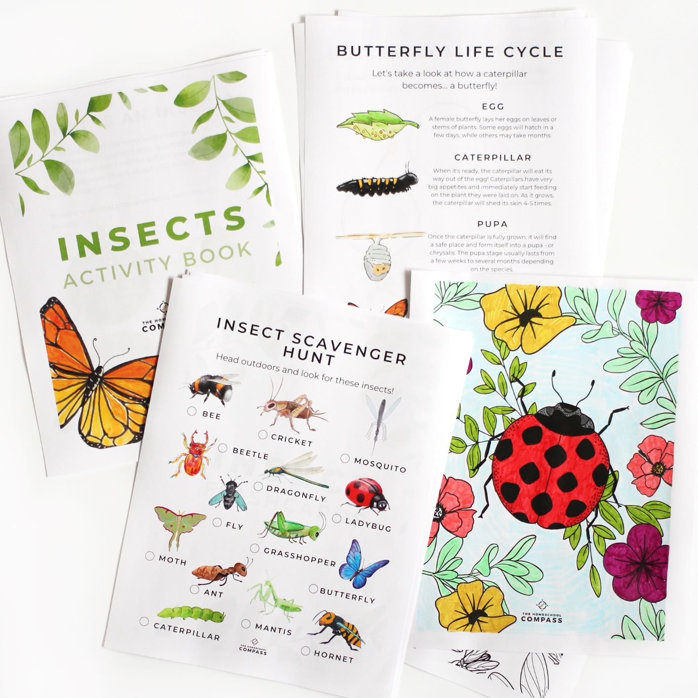 Free Printable Insect Activity Book - Homeschool Compass regarding Homeschool Compass Free Printables