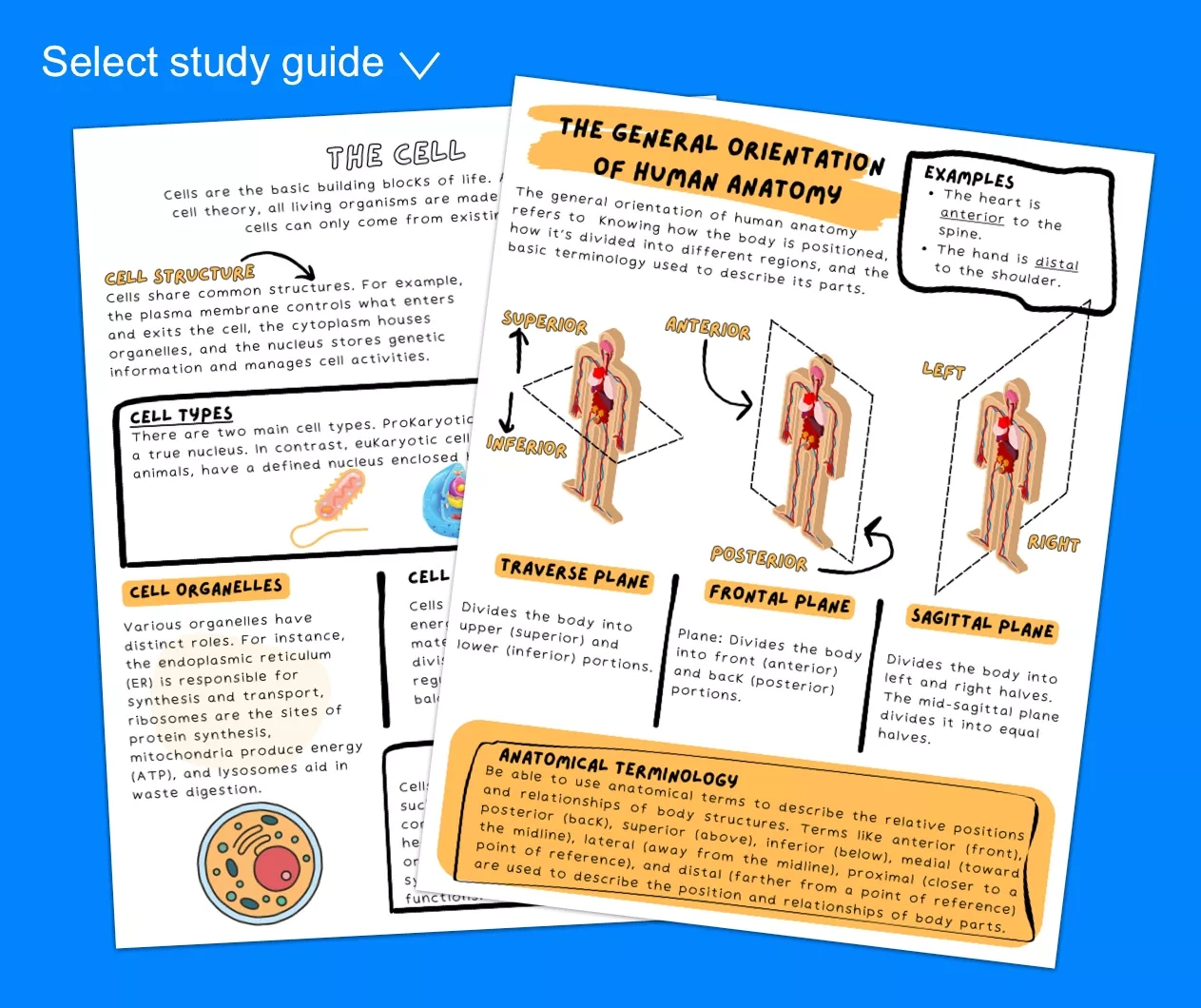 Pdf Full Teas Practice Test with regard to Printable Worksheets For Teas Test