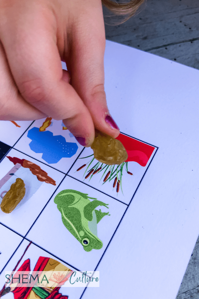 10 Plagues Of Egypt Activity Bingo Game: Free Printable Passover Fun throughout 10 Plagues Of Egypt Free Printables