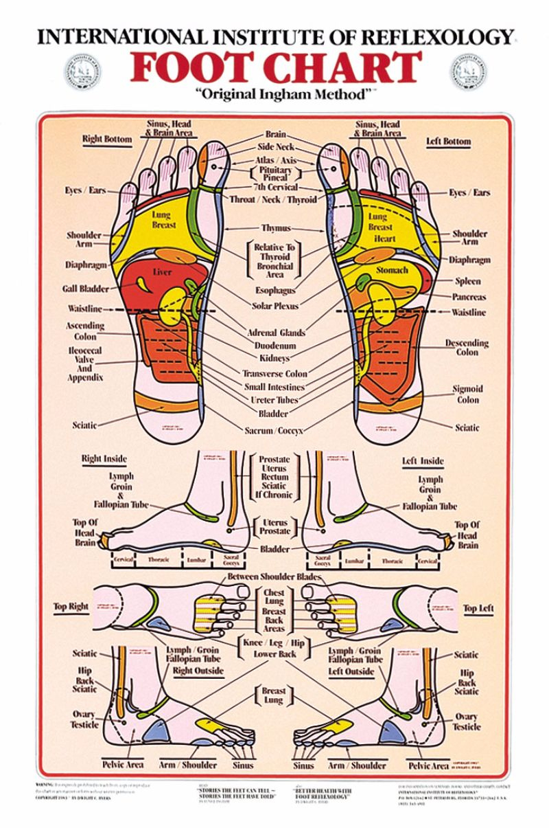 31 Printable Foot Reflexology Charts &amp;amp; Maps ᐅ Templatelab throughout Printable Reflexology Charts Free