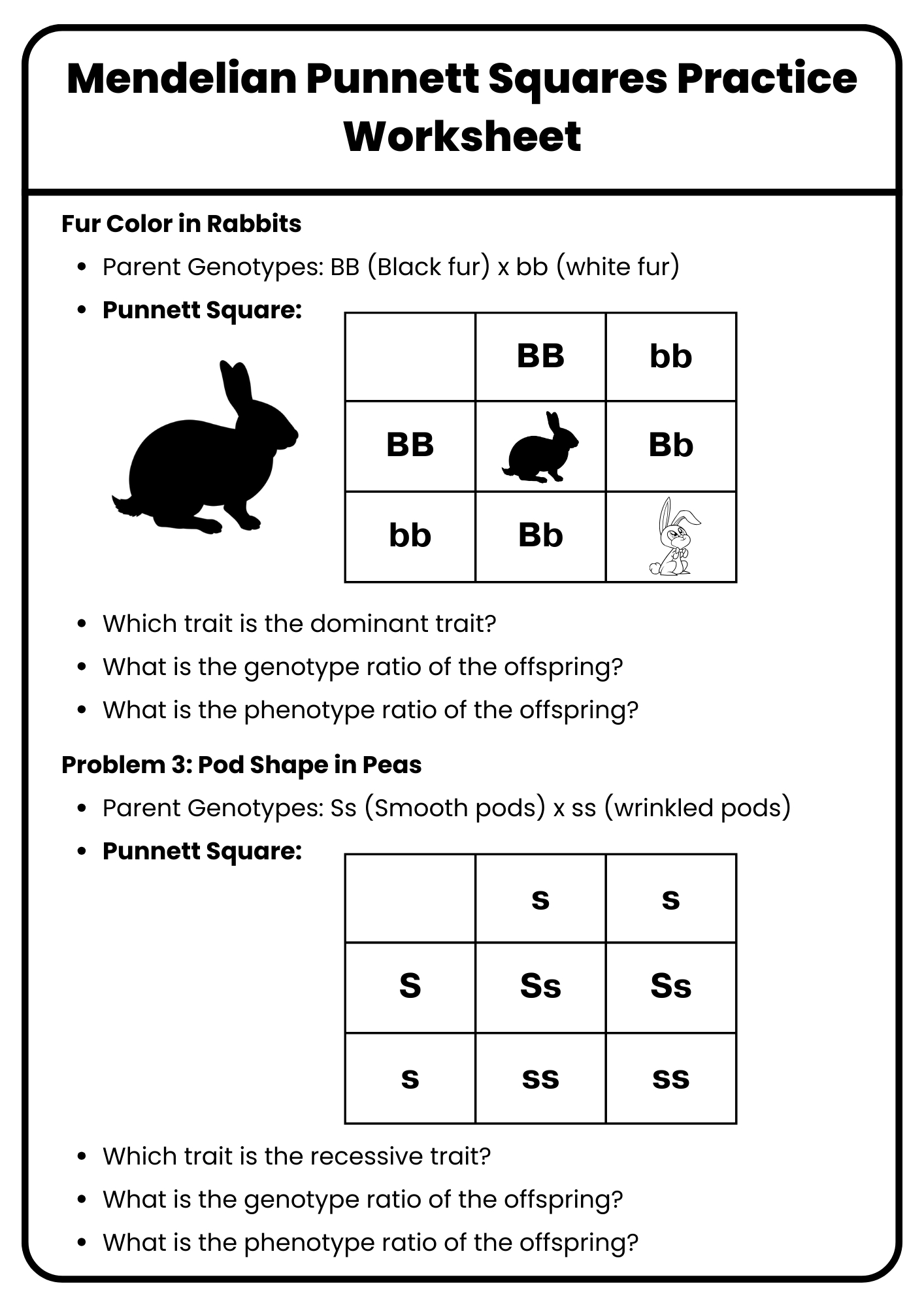 40+ Punnett Square Practice Worksheet To Download In Pdf within Free Printable Punnett Square Worksheet