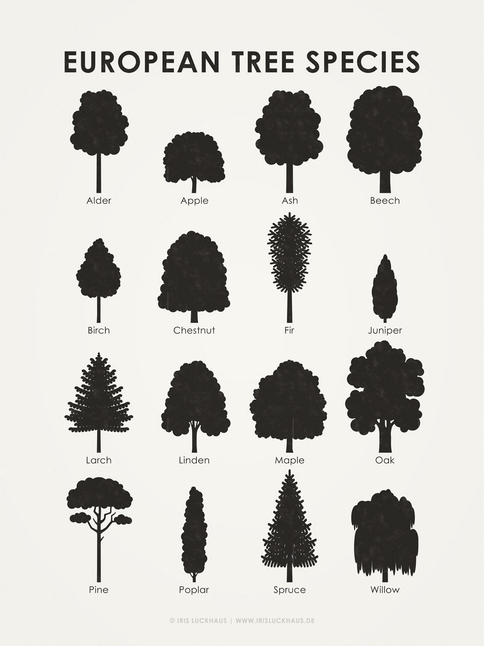 Art Prints | Identification Chart With Tree Shapes – Iris Luckhaus regarding Shapes Identification Chart