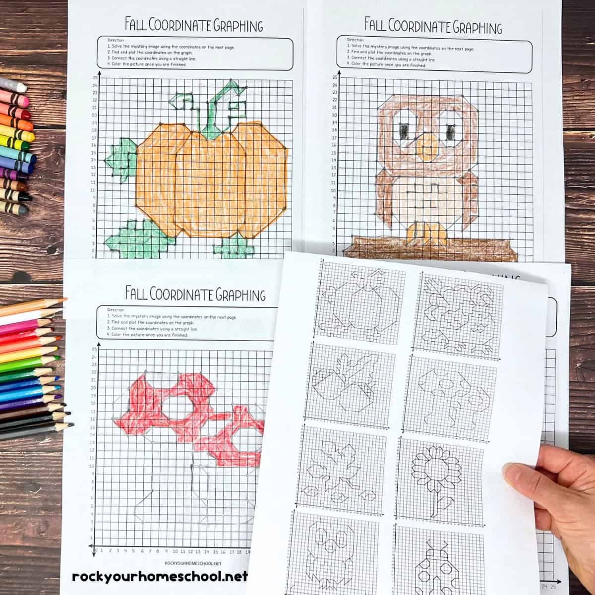 Coordinate Graphing Pictures: How To Use For Fall Fun (Free)- Rock within Coordinate Graphing Pictures Free Printable