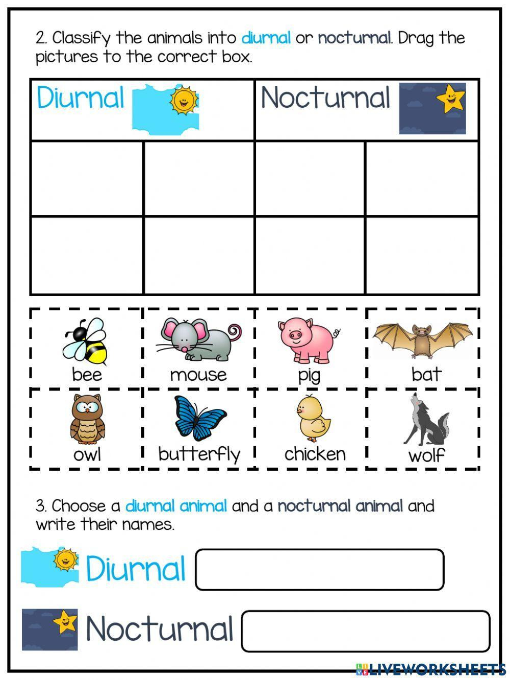Day And Night: Diurnal And Nocturnal Animals Worksheet | Live within Free Printable Nocturnal Animals Worksheets