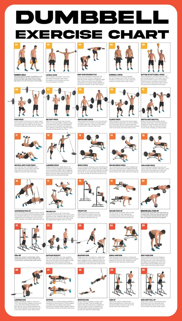 Dumbbell Workout Poster - 10 Free Pdf Printables | Printablee inside Printable Bowflex Workout Chart Free Download