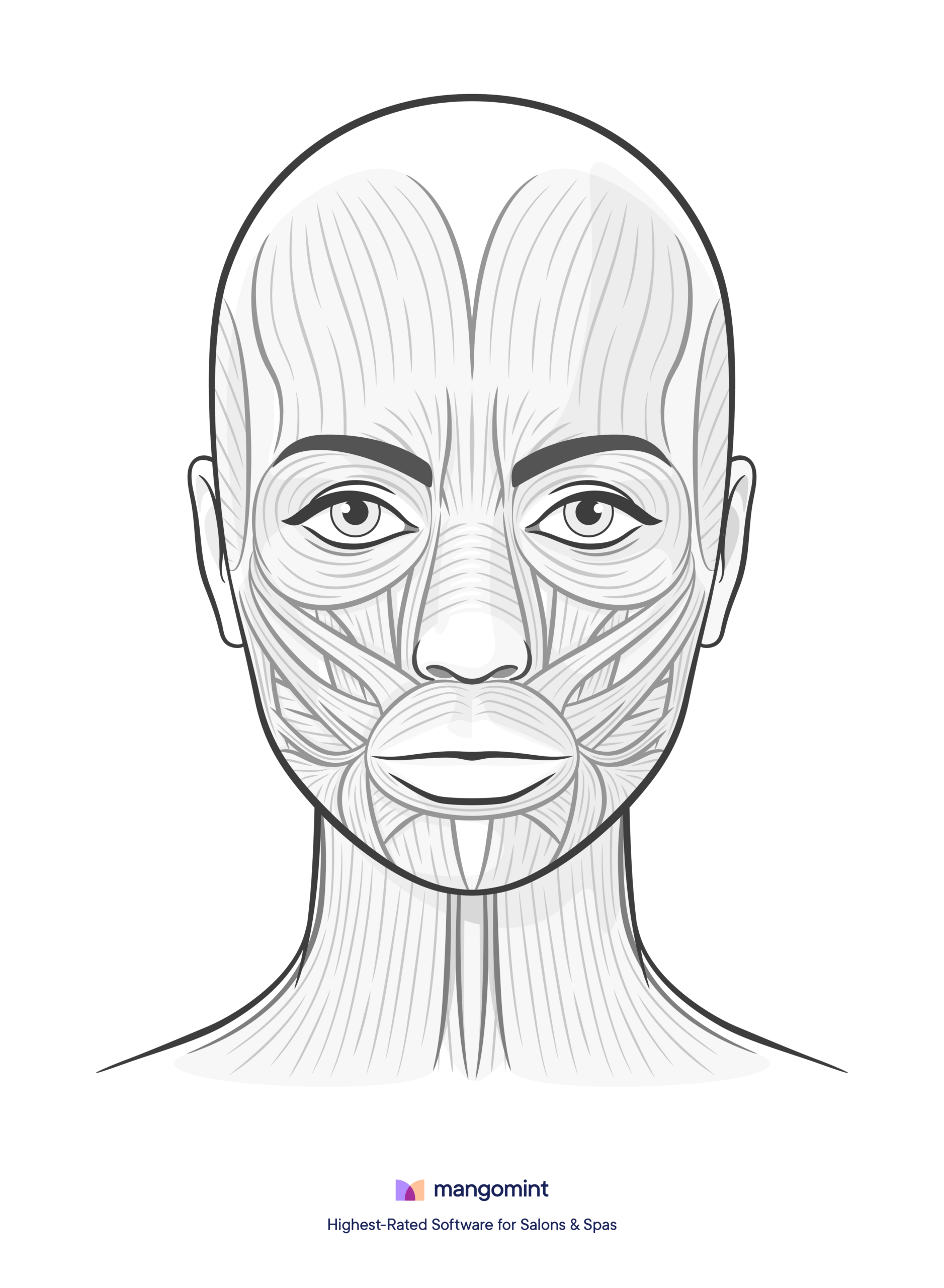 Face Charts: Templates For Spas, Salons, And Tattoo Shops with regard to Free Printable Botox Face Chart