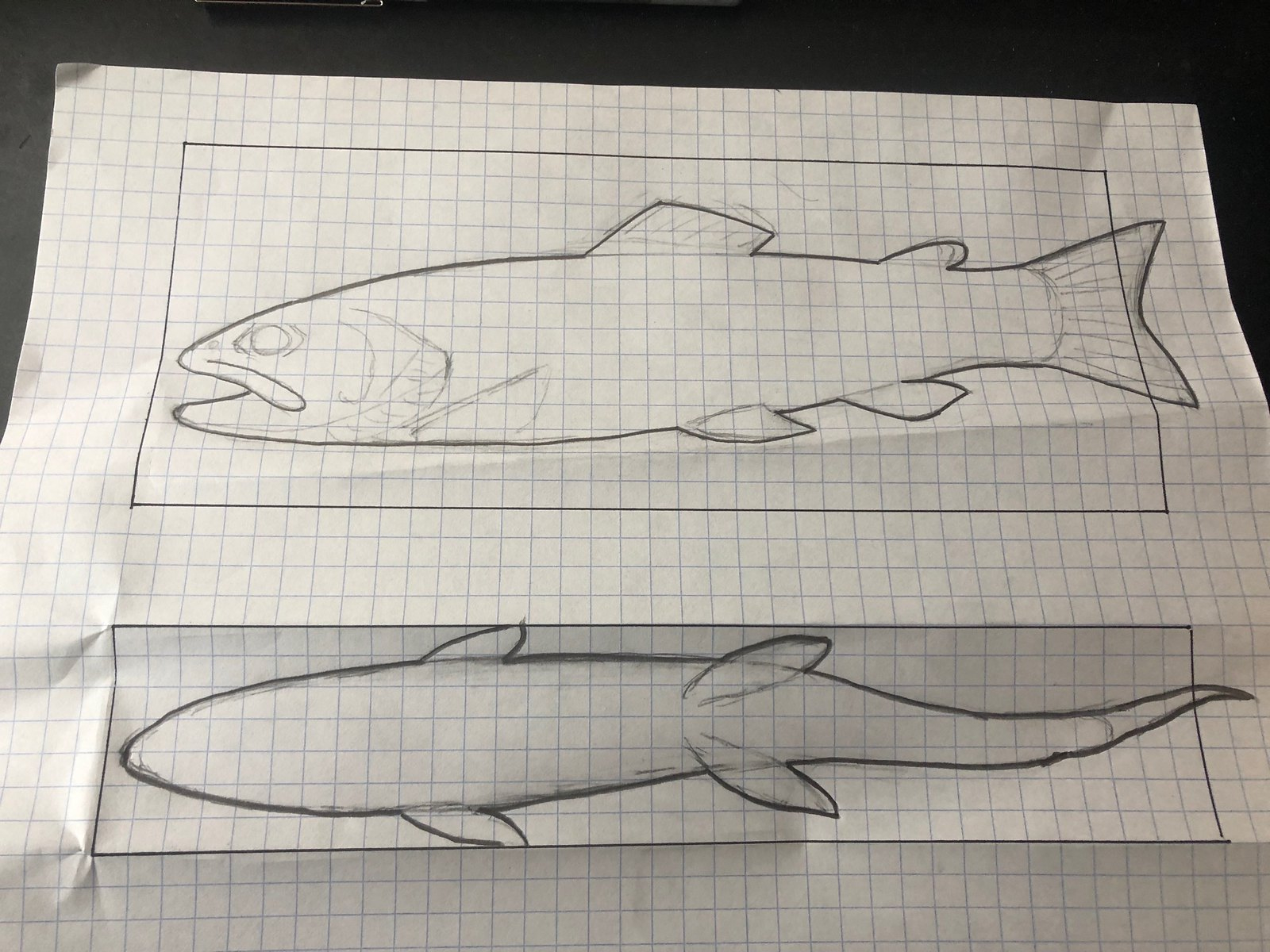 First Brook Trout Carving | Paflyfish with regard to Printable Fish Wood Carving Patterns
