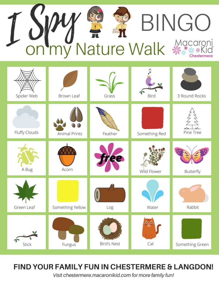 Scavenger Hunt Bingo Cards