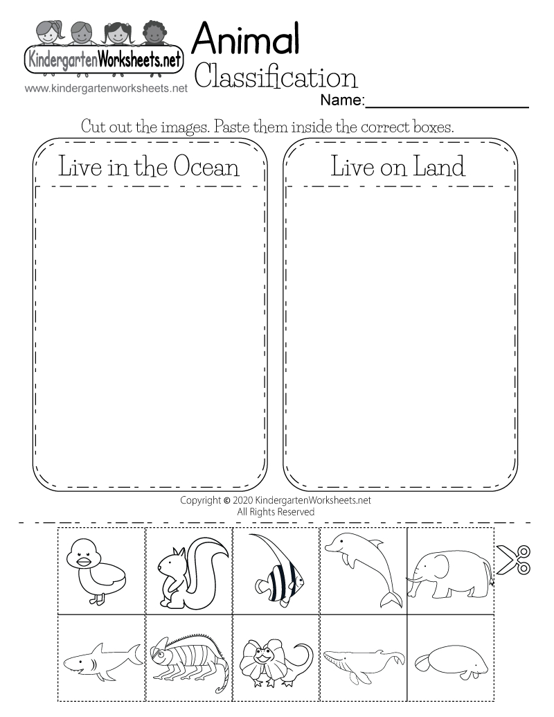 Free Printable Animal Classification Worksheet intended for Printable Main Categories Of Kindergarten Worksheets