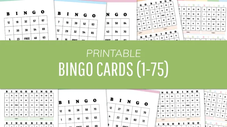 Bingo Card Generator 1 75