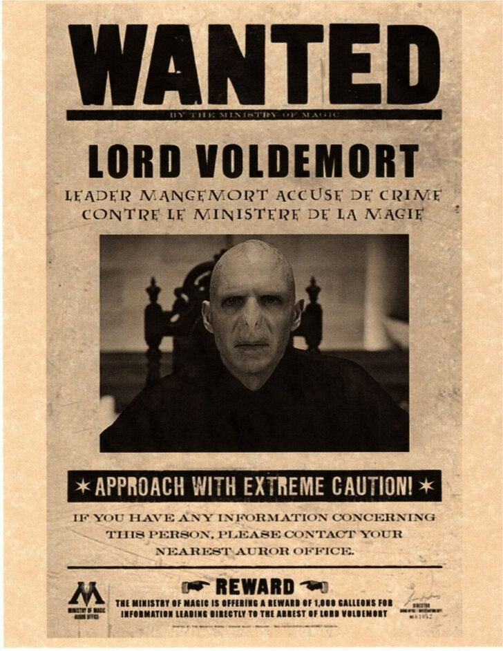 Harry Potter Wanted Signs Printable