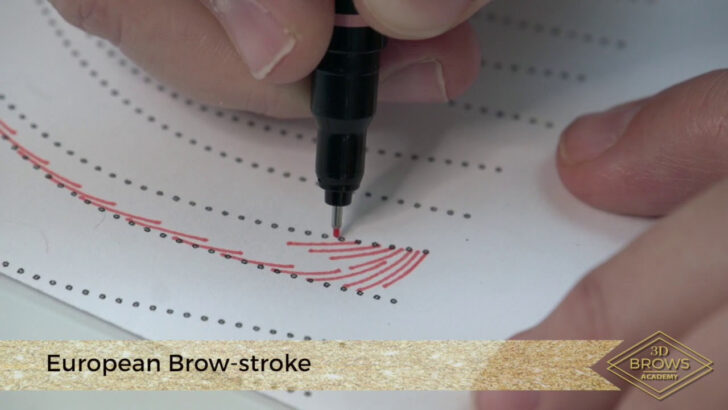 Free Printable Microblading Practice Sheets
