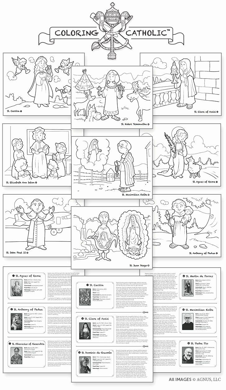 Order Of The Mass Worksheet Lovely Catholic Mass Parts In Order intended for Free Catholic Printable Worksheets