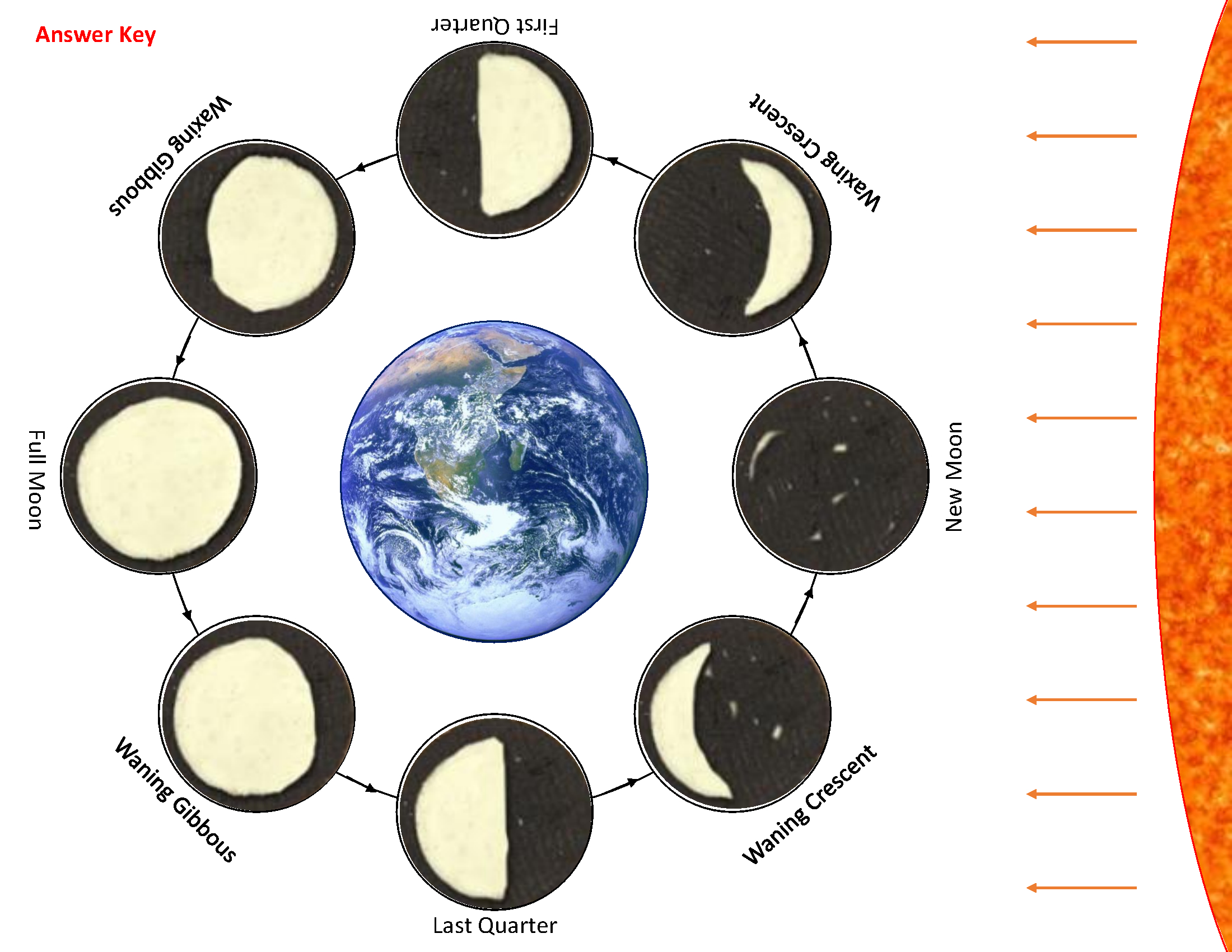 Oreo Moon Phase Activity - Stem Supplies within Printable Oreo Moon Phases Worksheet