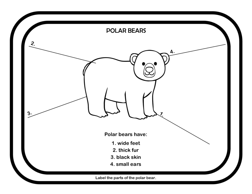 Polar Bears Unit Study - The Wolfe Pack with Printable Polar Bear Worksheets
