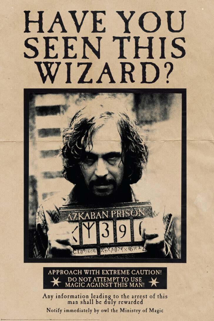 Harry Potter Wanted Poster Free Printable