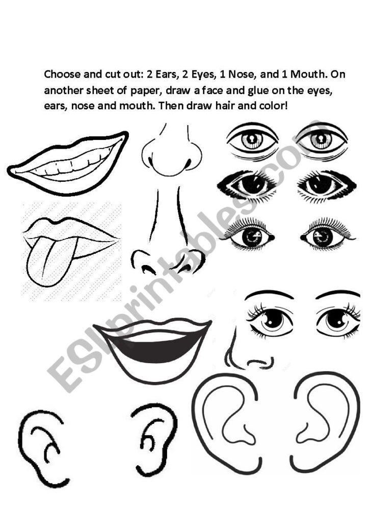 Printable Parts of the Face Cut and Paste