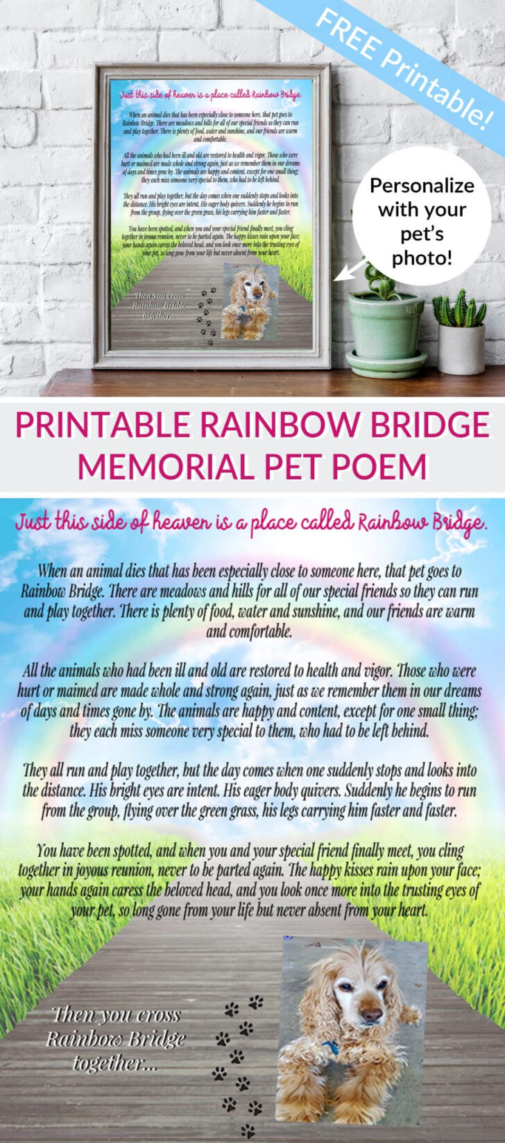 The Rainbow Bridge Poem Printable Free Download
