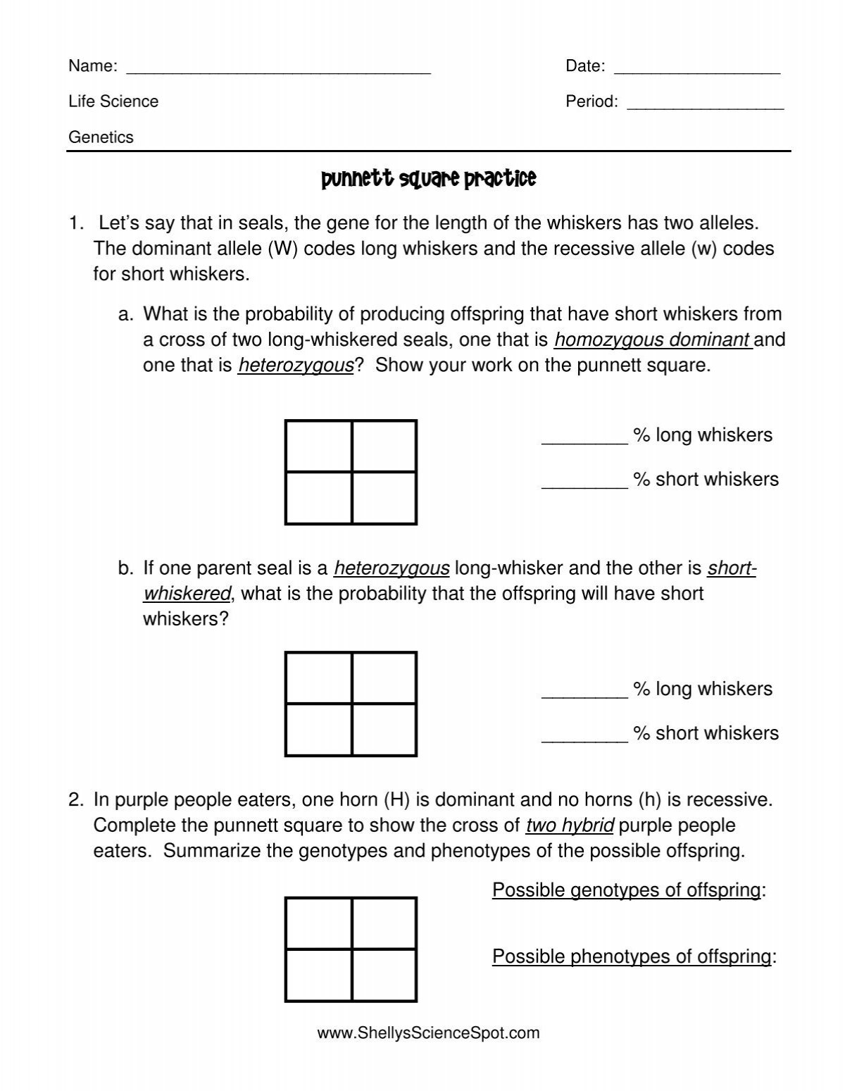 Punnett Square Practice for Free Printable Punnett Square Worksheet