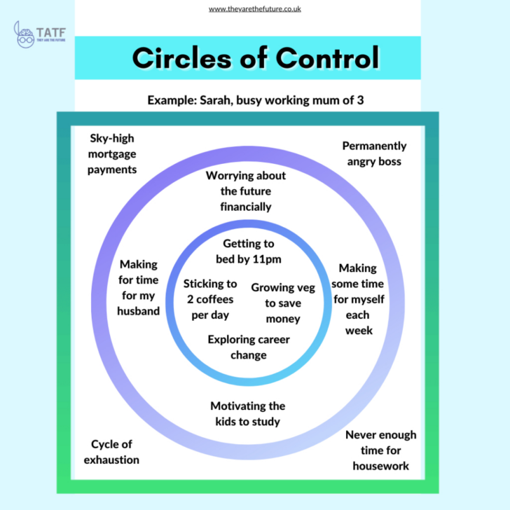 Circle of Control Worksheet Printable
