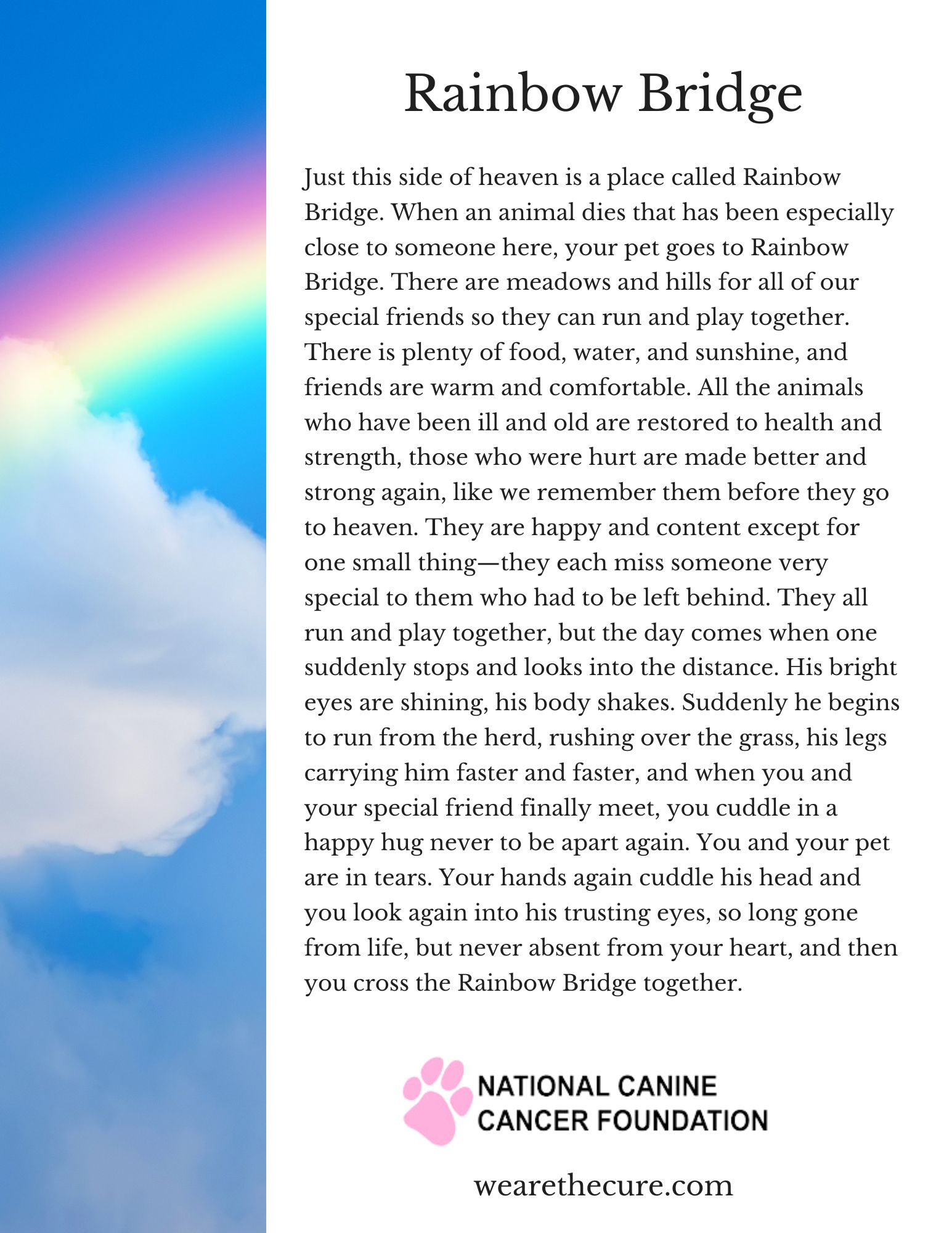 What The Rainbow Bridge Poem Gets Perfectly Right About Pet Loss with Rainbow Bridge Pet Poem Printable