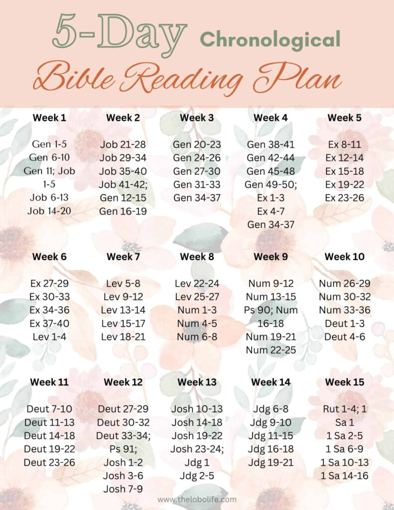 5 Day Bible Reading Plan- Chronological Or Traditional in Free Printable Chronological Bible Reading Plan