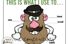 5 Senses Potato Head And We Can Do It! Freebie | Mrs. Bremer'S Class within Mr Potato Head 5 Senses Printable Free