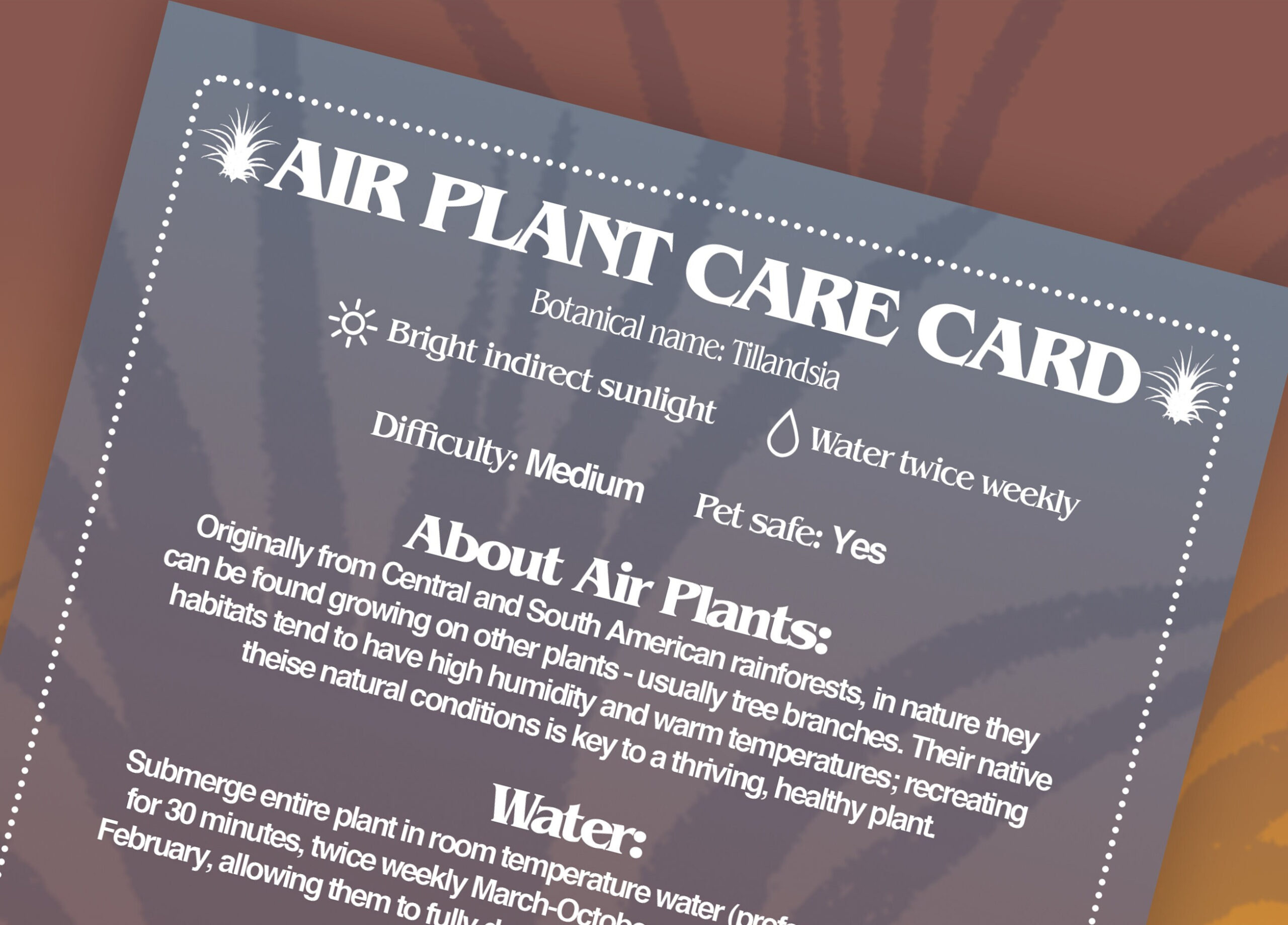 Air Plant Care Card, Digital Air Plant Care Label, Printable with Printable Air Plant Care Card