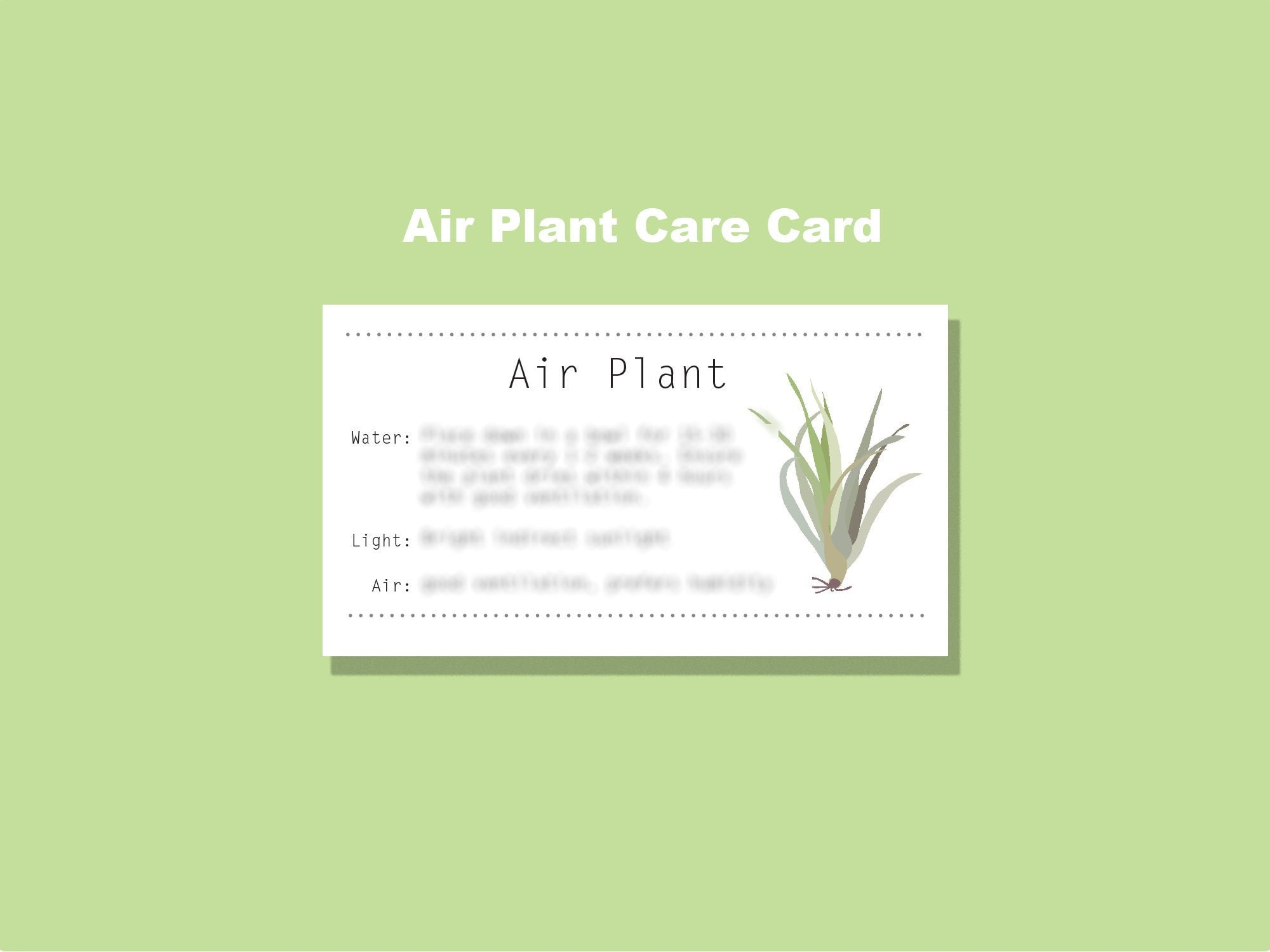Air Plant Care Card, Digital Download Infographic, Printable - Etsy intended for Printable Air Plant Care Card