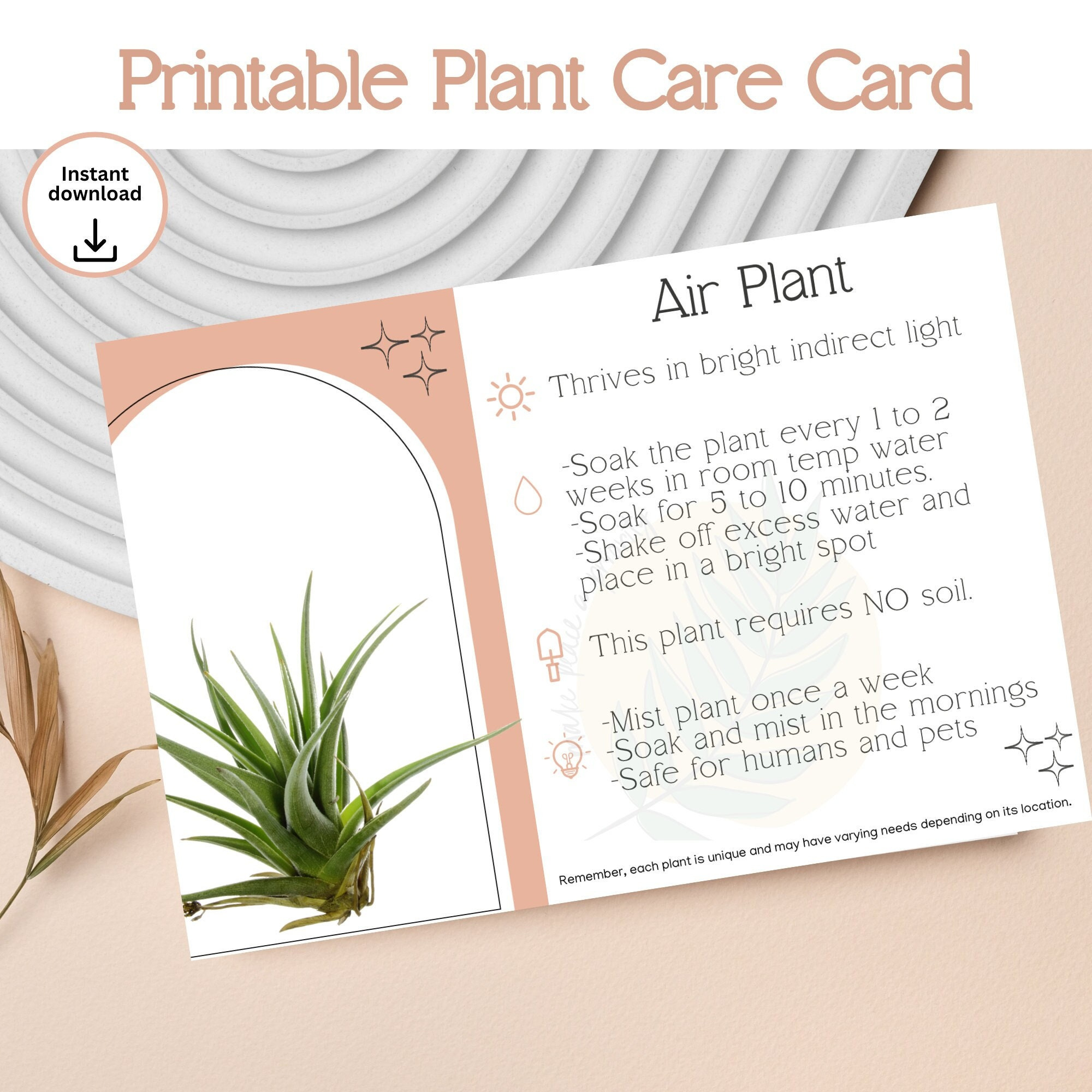 Air Plant Care Instruction Printable - Instant Download Plant Care pertaining to Printable Air Plant Care Card