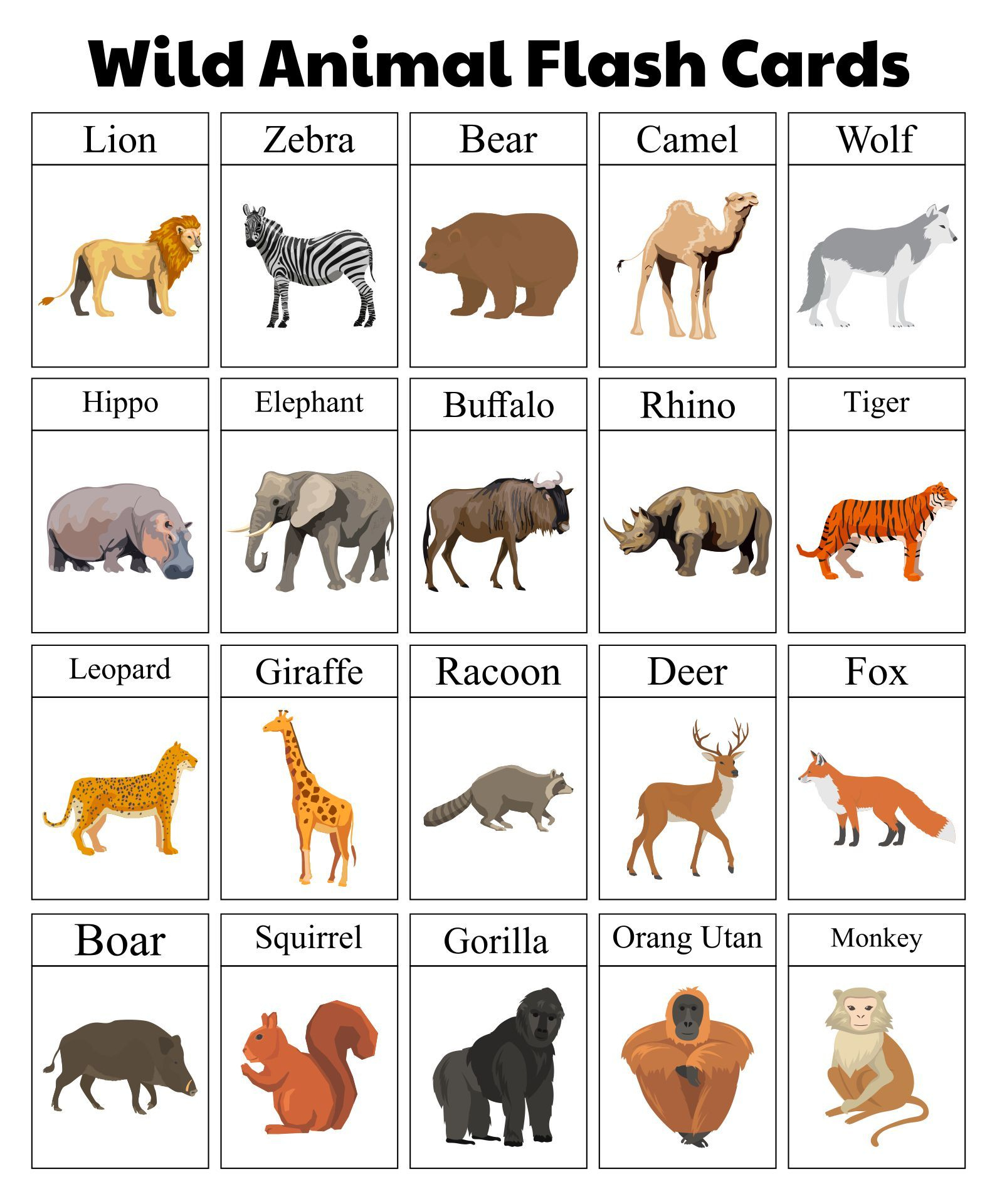 Animal Flash Cards - 10 Free Pdf Printables | Printablee for Free Printable Animals Flashcards