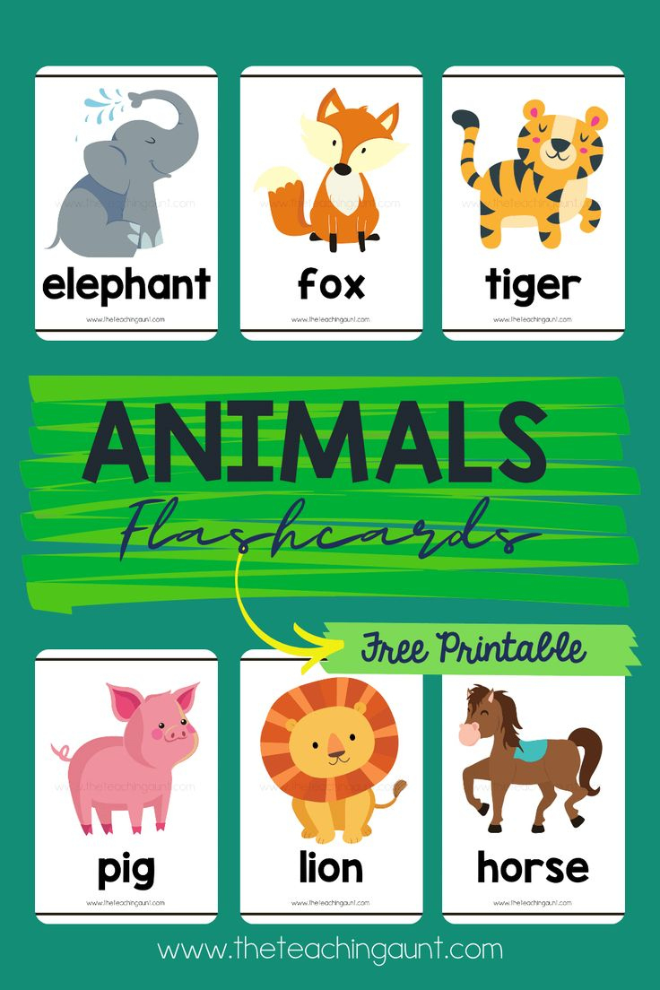 Animal Flashcards - The Teaching Aunt with Free Printable Animals Flashcards