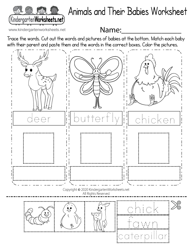 Animals And Their Babies Worksheet - Free Printable, Digital, &amp;amp; Pdf within Printable Mammal Worksheets For Kindergarten