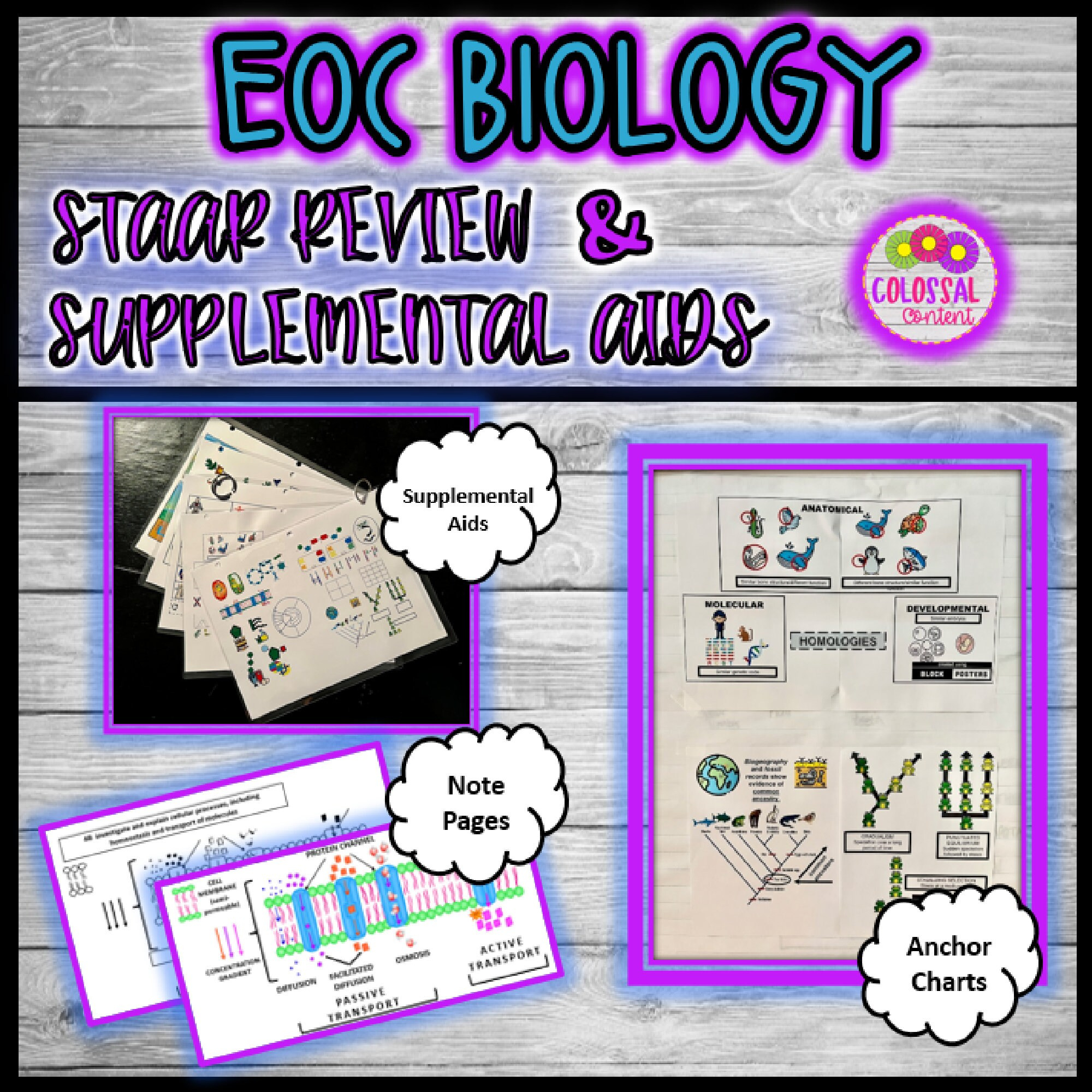 Biology Staar Review And Supplemental Aids - Etsy in Printable Staar Supplemental Aids