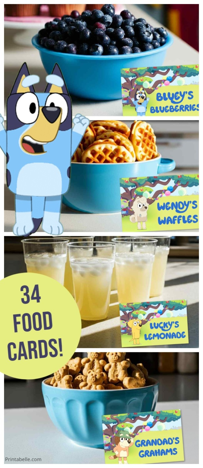 Bluey Party Food Label Cards + Free Snack Bar Sign | Printabelle within Bluey Food Labels Printable
