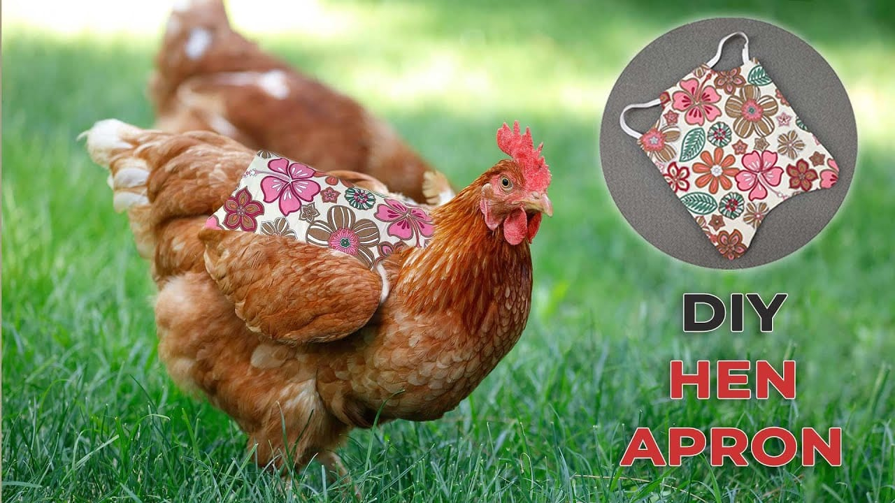 Diy Chicken Saddle - Free Hen Apron Pattern with regard to Printable Template Chicken Saddle Pattern With Wing Protectors
