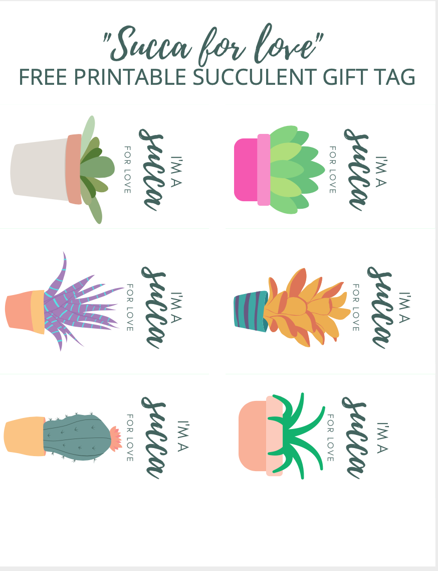 Diy Succulent Valentines Gift with regard to Free Printable Succulent Gift Tags