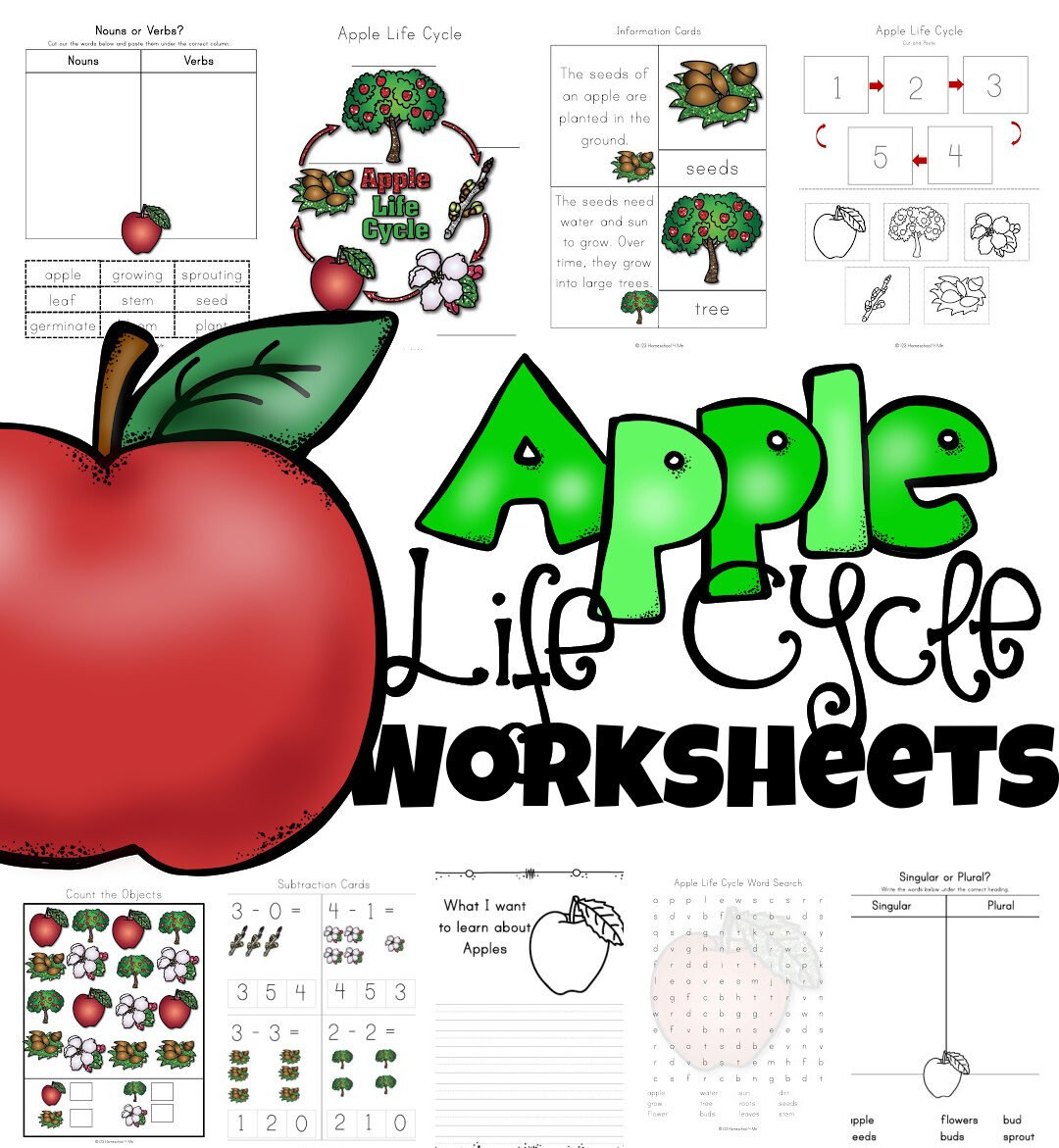 🍎 Free Apple Life Cycle Printable Worksheets pertaining to Free Apple Life Cycle Printable