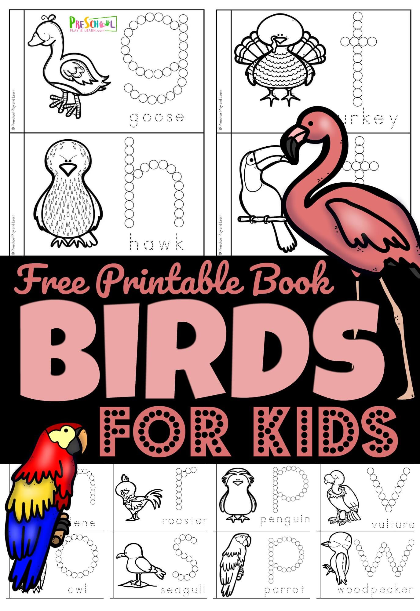 🦩🦜🐧 Free Birds For Preschoolers Printable Book in Preschool Bird Theme Printables
