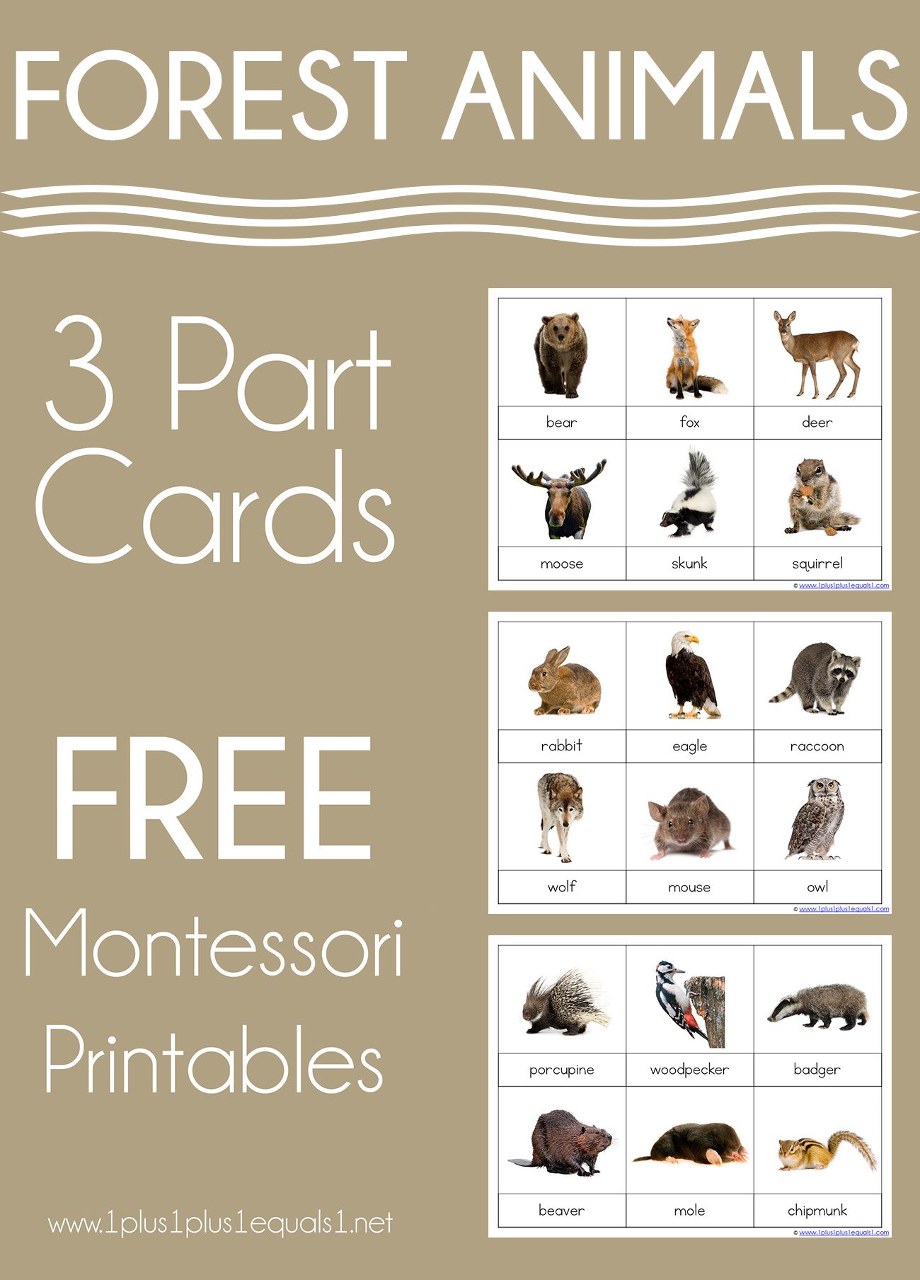 Forest Animals Montessori Printables – Free 3 Part Cards - 1+1+1=1 intended for Free Montessori Printables