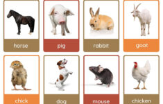 Free Animal Flashcards To Customize And Print | Canva – Worksheets with regard to Free Printable Animals Flashcards