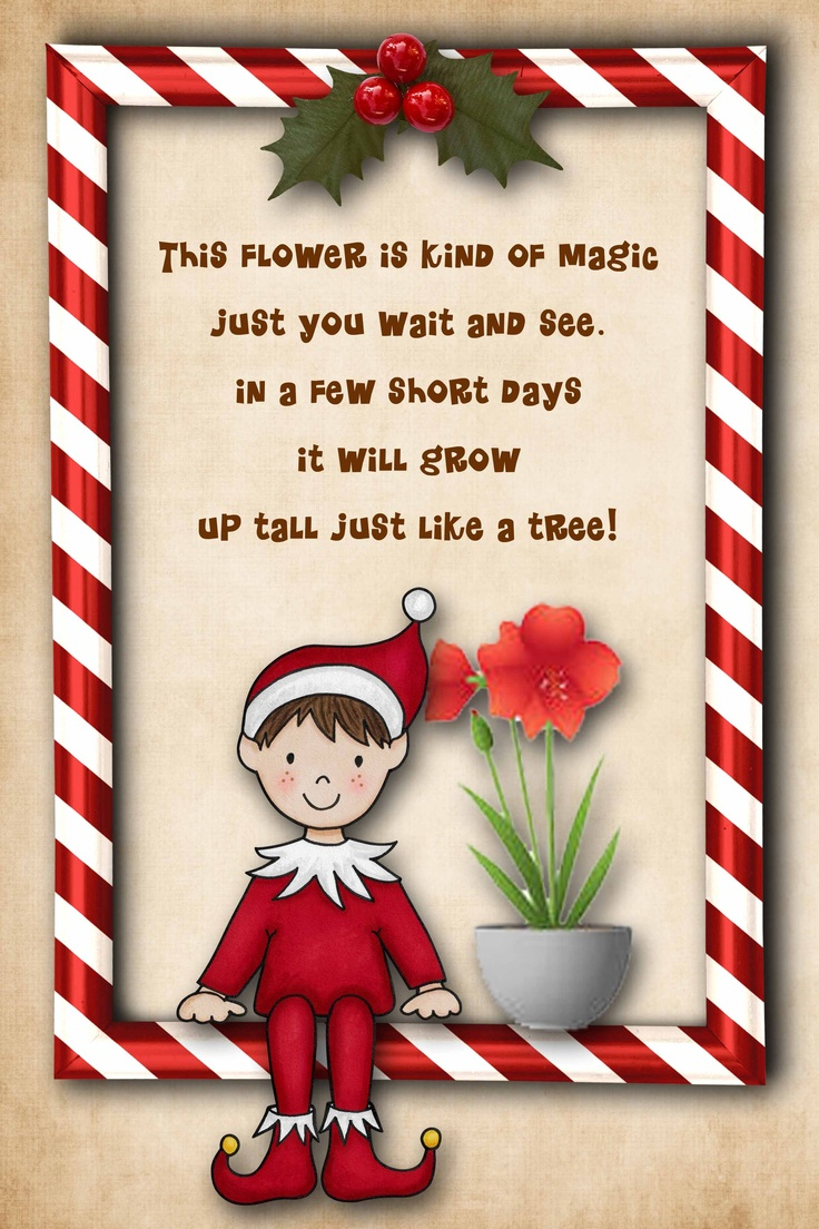 Free Elf On The Shelf Poem To Print--Have Your Elf Bring An Amaryllis! for Free Printable Elf On The Shelf Goodbye Poem