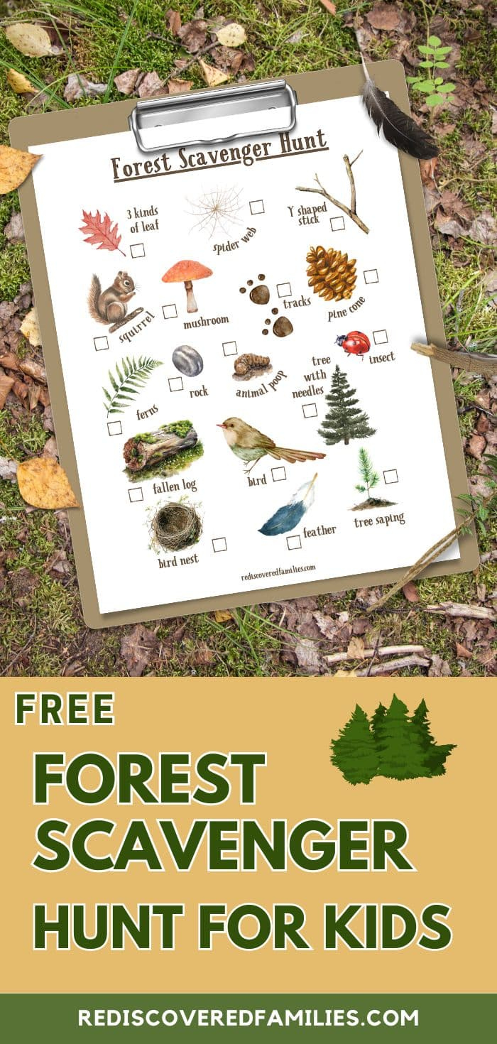 Free Forest Scavenger Hunt Your Kids Will Love | Rediscovered Families with regard to Forest Scavenger Hunt Printable Free