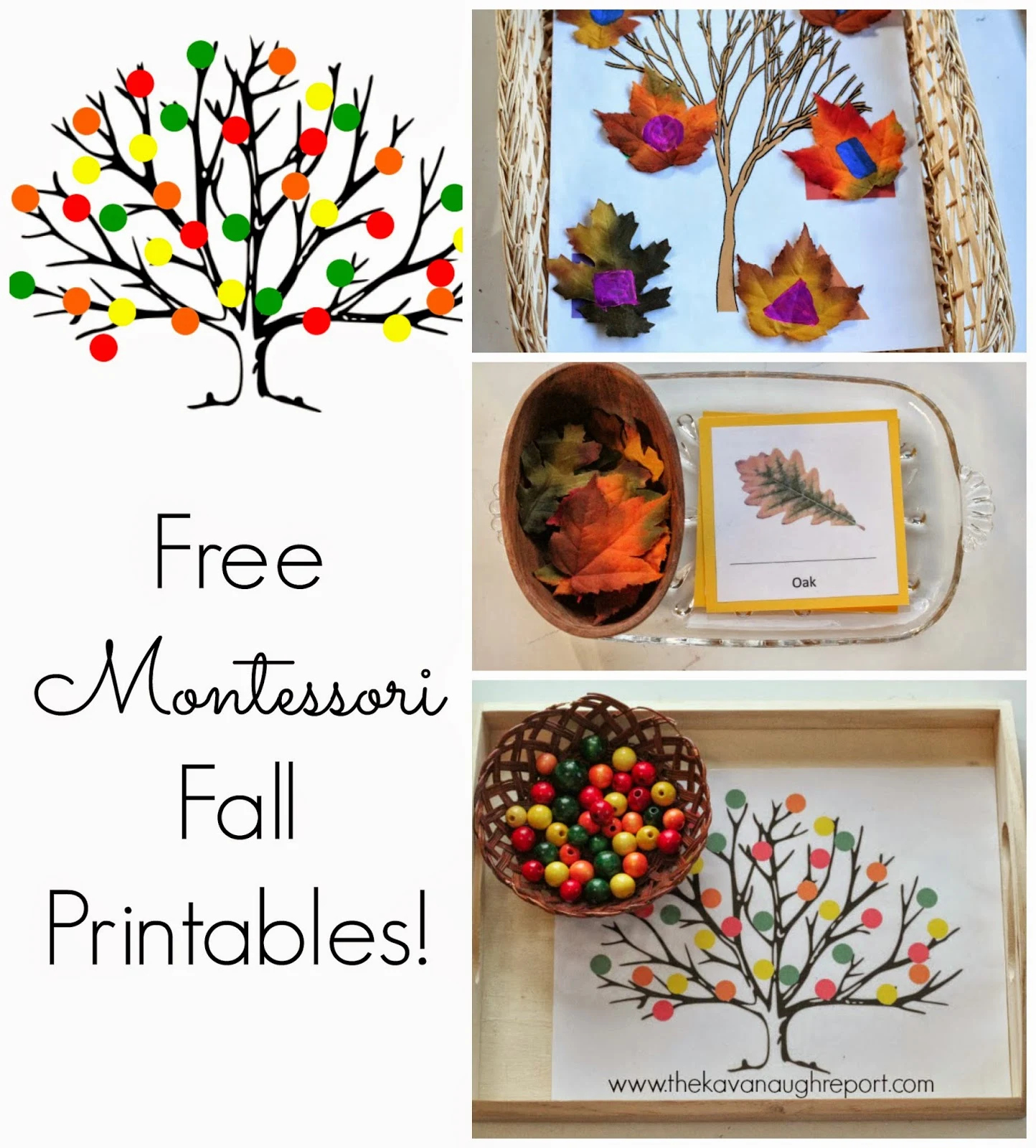Free Montessori Inspired Fall Printables regarding Free Montessori Printables