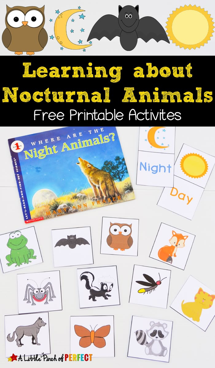 Free Nocturnal Animals Printables with regard to Free Printable Nocturnal and Diurnal Animals Worksheets