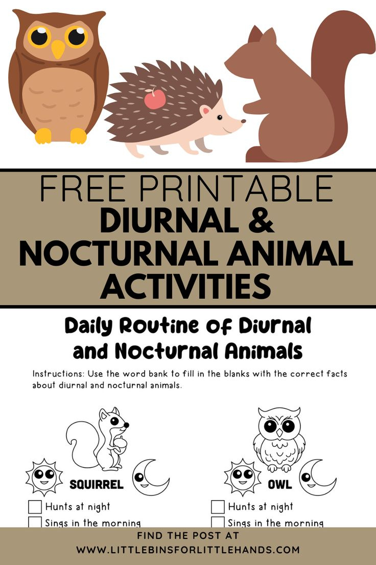 Free Printable Diurnal And Nocturnal Animal Activities in Free Printable Nocturnal And Diurnal Animals Worksheets