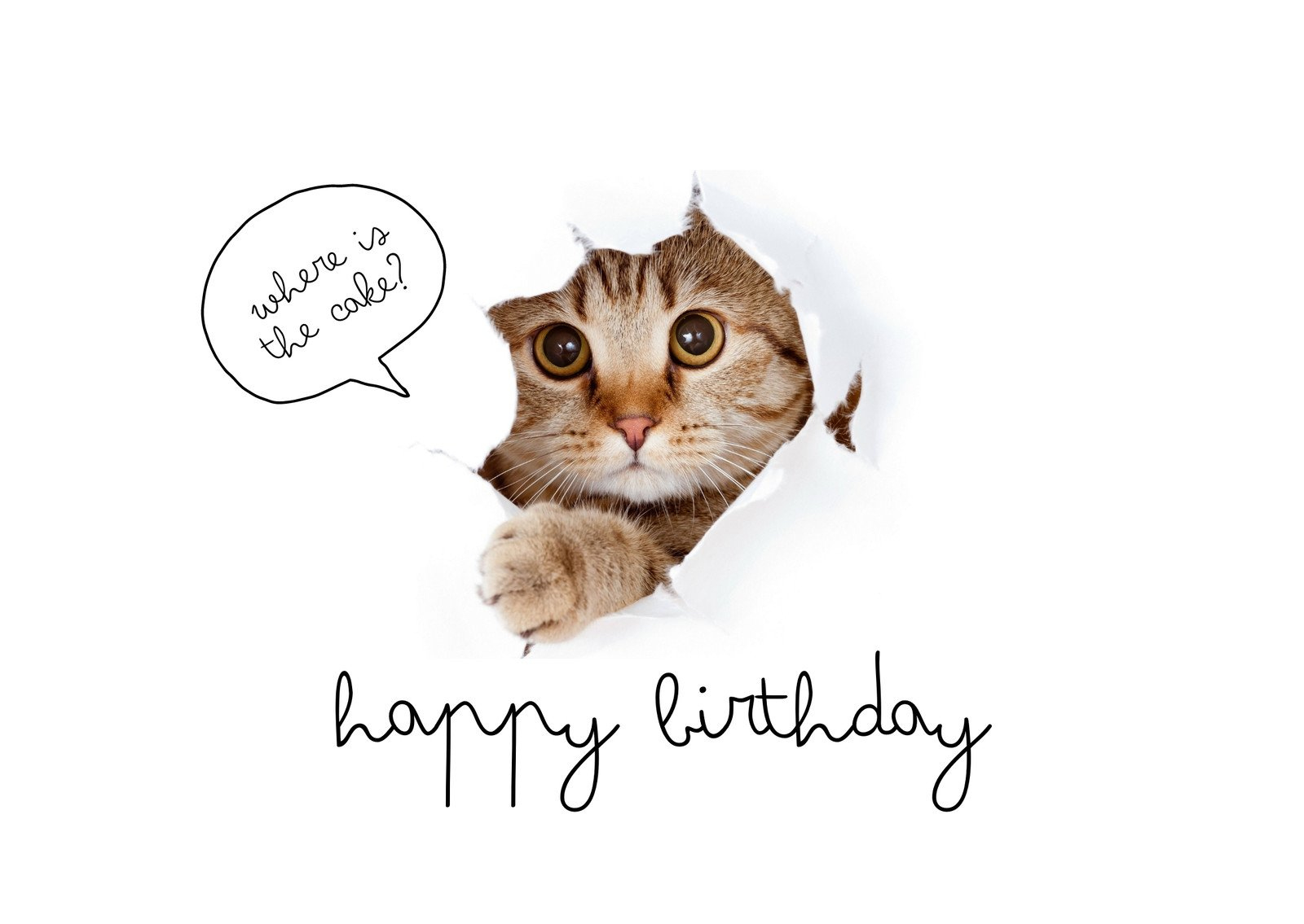 Free Printable Funny Birthday Card Templates | Canva regarding Free Printable Birthday Cards For Husband Funny