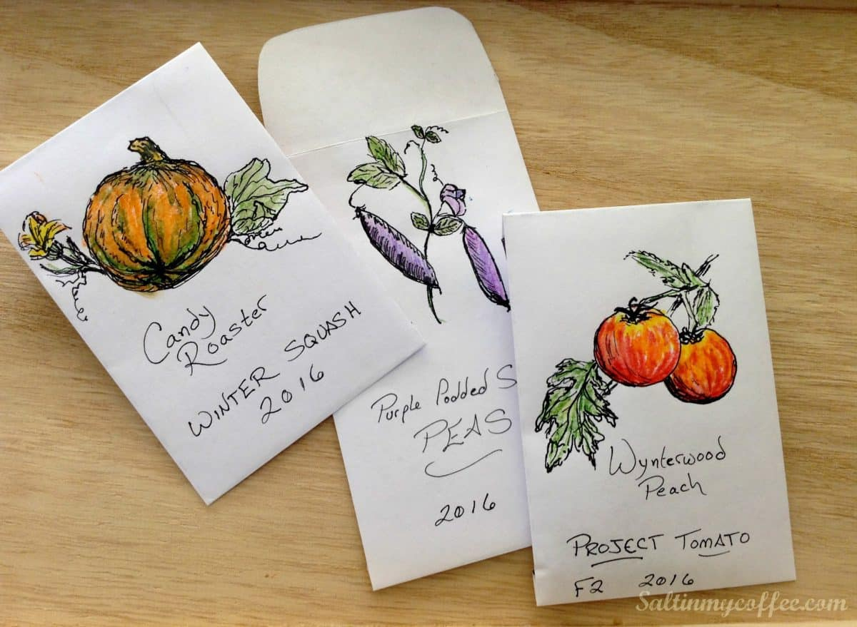Free Printable Seed Packet For Seed Saving - Salt In My Coffee within Free Printable Printable Seed Packet Template