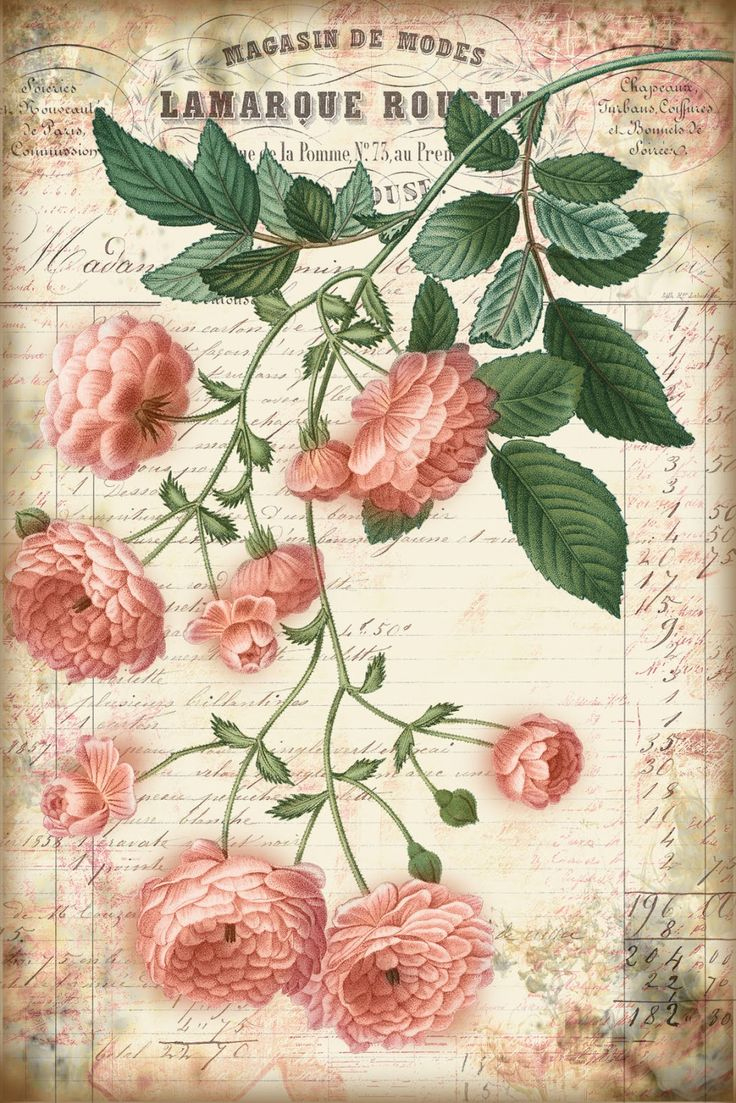 Free Printables: Shabby Chic Journaling Cards pertaining to Shabby Chic Free Printables