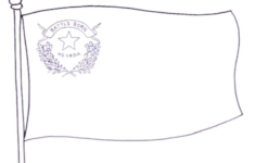 How To Draw The State Flag Of Nevada, Usa pertaining to Printable Nevada State Flag